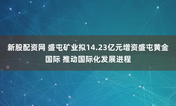 新股配资网 盛屯矿业拟14.23亿元增资盛屯黄金国际 推动国际化发展进程