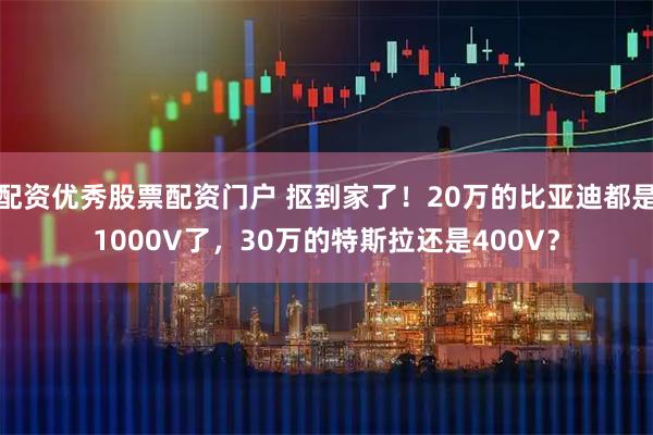 配资优秀股票配资门户 抠到家了！20万的比亚迪都是1000V了，30万的特斯拉还是400V？