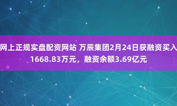 网上正规实盘配资网站 万辰集团2月24日获融资买入1668.83万元，融资余额3.69亿元
